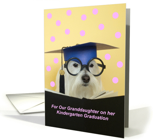 Kindergarten Graduate Dog -- Granddaughter card (181899)