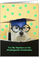 Kindergarten Graduate Dog -- Nephew card