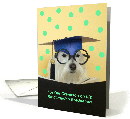 Kindergarten Graduate Dog -- Grandson card (181921)