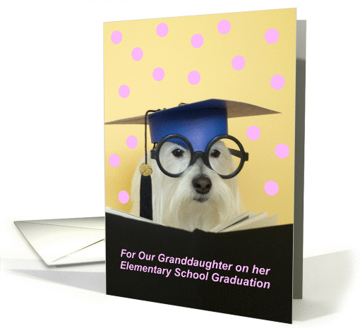 Elementary Graduate Dog -- Granddaughter card (182187)