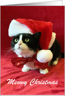 Meowy Christmas withTuxedo Cat in Santa Hat card