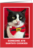 Funny Tuxedo Cat Tongue Out Christmas card