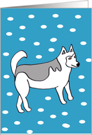 Fathers Day Card from the Dog -- Alaskan Malamute card
