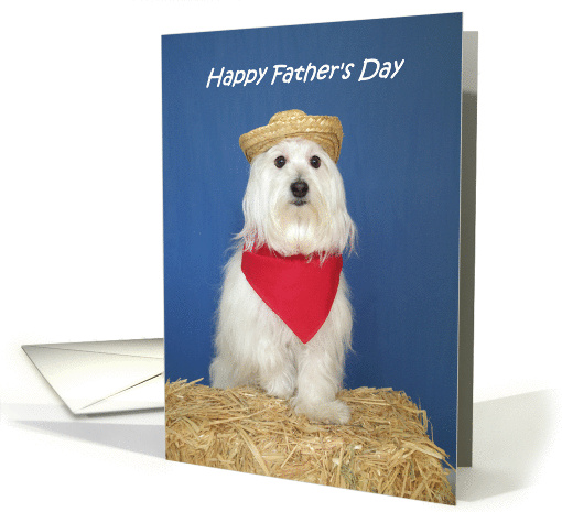 Fathers day Card from the Dog -- Dads like you card (191370)