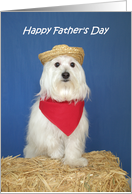 Fathers day Card from the Dog -- Dads like you card