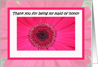 Maid of Honor Thank You card -- Beauty and Elegance card
