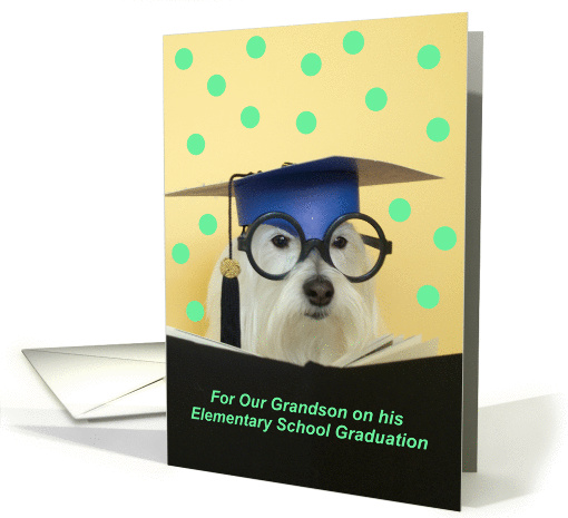 Elementary Graduate Dog -- Grandson card (200230)