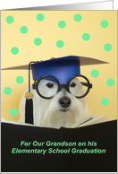 Elementary Graduate Dog -- Grandson card