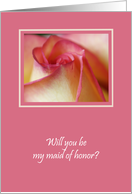 Maid of Honor Card -- Rose Elegance card