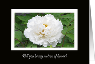 Matron of Honor Card -- White Peony on Black card