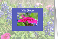 Bridal Shower Invitation -- Bluebonnets & Phlox card