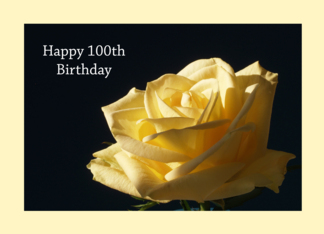 100th Birthday Card ...