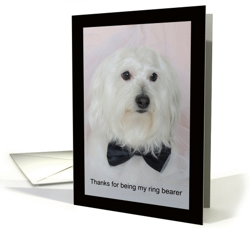 Ring Bearer Thank You Card -- Cute Dog card (215357)