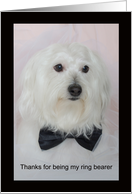 Ring Bearer Thank You Card -- Cute Dog card