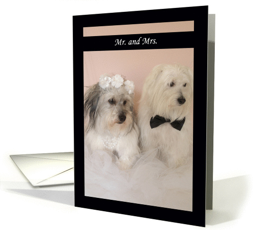 Just Married Announcement -- Mr. & Mrs. card (215902)