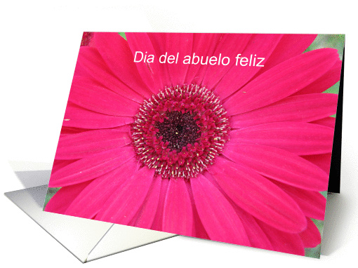 Spanish Greeting Cards -- Grandparents Day card (226119)