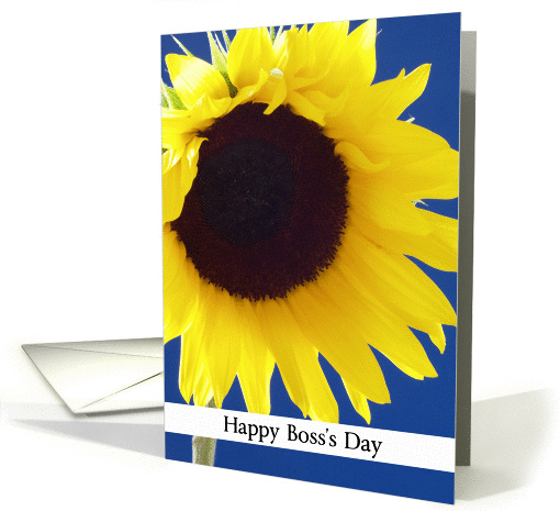 Boss day cards -- Happy Boss's Day Sunflower card (232173)