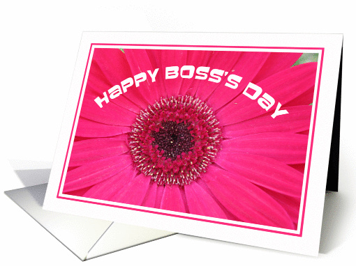 Boss day cards -- Happy Boss's Day Gerber Daisy card (232175)