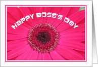 Boss day cards -- Happy Boss’s Day Gerber Daisy card