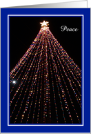 Trail of Lights Austin Christmas Tree card -- Peace card