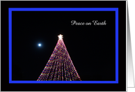 Business Christmas Cards -- Moonlite Night Peace on Earth card