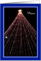 Business Christmas Cards -- Moonlite Night Peace card