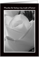 Maid of Honor Thank You Card -- Black and White Rose Design card