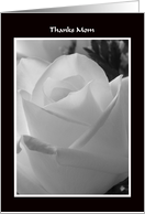 Thank You Mom Card -- Black and White Rose Design card