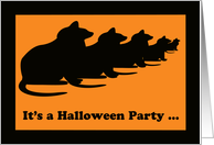 Halloween Invitations -- Black Cats card