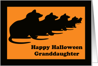 Halloween Card for Granddaughter -- Black Cats card