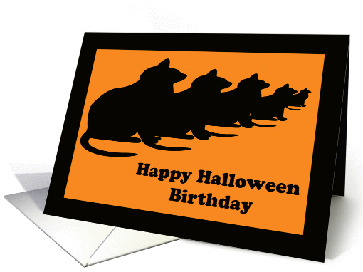 Happy Birthday Halloween Cards -- Black Cats card (253421)