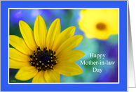 Mother in Law Day Card -- Flowers for my Mother in Law card