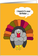 Thanksgiving Birthday -- Turkey card