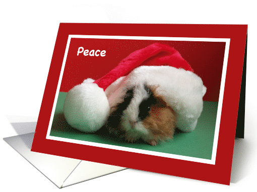 Guinea Pig in Santa Hat Christmas card (295938)