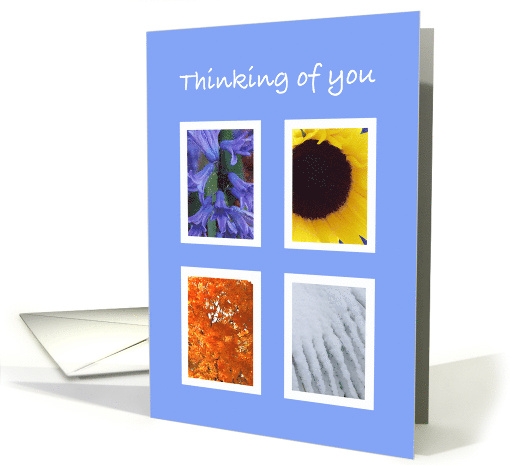 Sympathy Thinking of You through the Seasons card (298604)