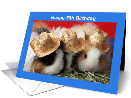Guinea Pig 6th Birthday card (307103)