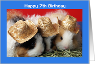 Guinea Pig 7th Birthday Card