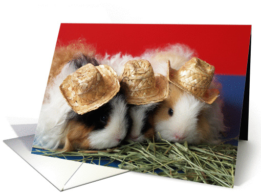 Guinea Pig Note card (307137)