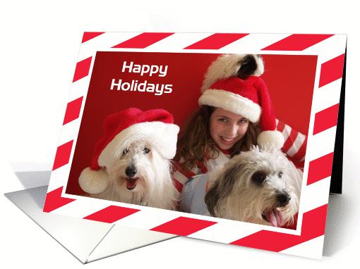 Christmas 2008 card (310490)
