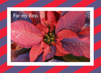 Boss Christmas Card ...