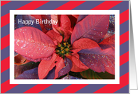 Christmas Birthday Card