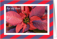 Mom Christmas Card -...