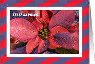 Spanish Christmas Card -- Poinsettia card
