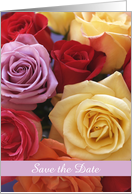 Colorful Roses Save...