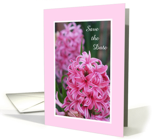 Pink Hyacinth Save the Date Announcement card (371372)