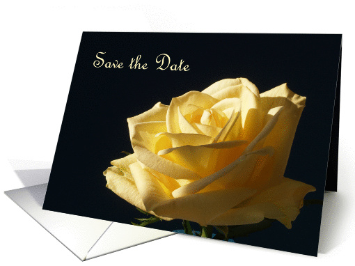 Save the Date Wedding Invitation -- A Single Yellow Rose card (373343)