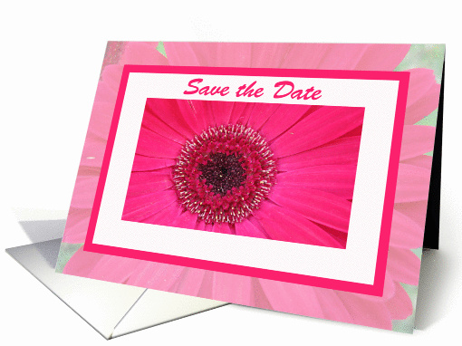 Custom Save the Date -- Pink Gerber Daisy card (373345)