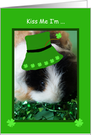 Funny St. Patrick’s Day Card -- Guinea Pig card