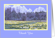 Daffodil Landscape Picture Thank You Card