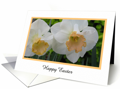 Easter Greeting Card -- Daffodils card (389463)